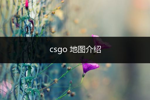 csgo 地图介绍