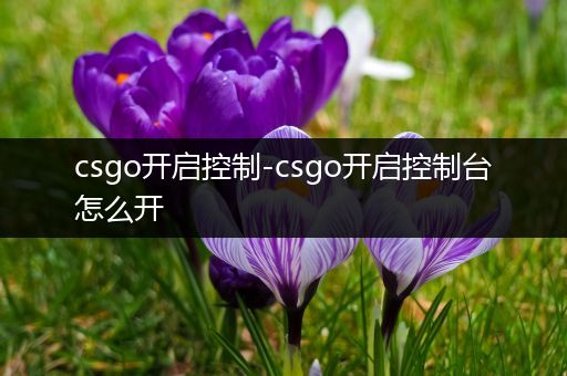 csgo开启控制-csgo开启控制台怎么开