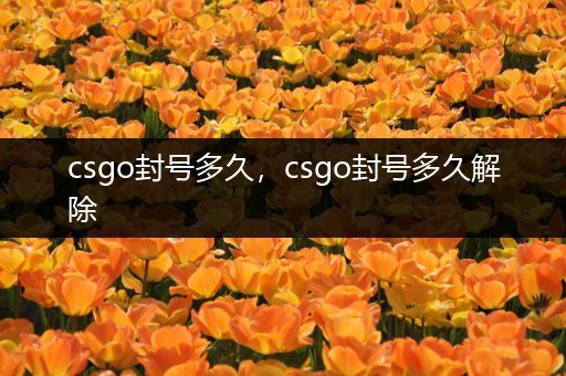 csgo封号多久，csgo封号多久解除