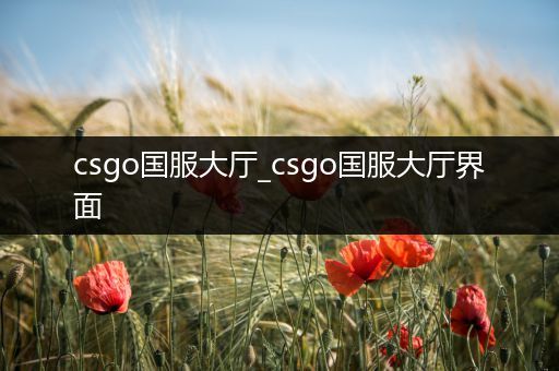 csgo国服大厅_csgo国服大厅界面