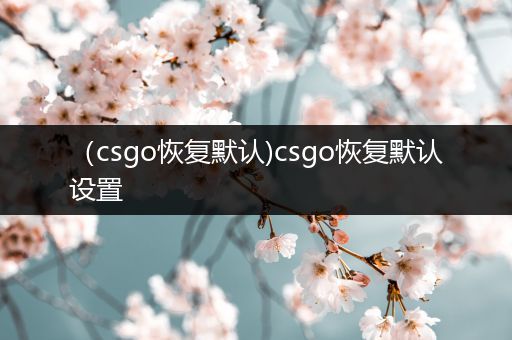 （csgo恢复默认)csgo恢复默认设置