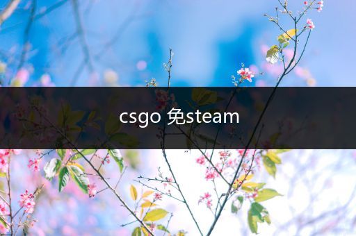 csgo 免steam