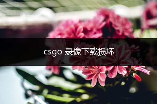 csgo 录像下载损坏