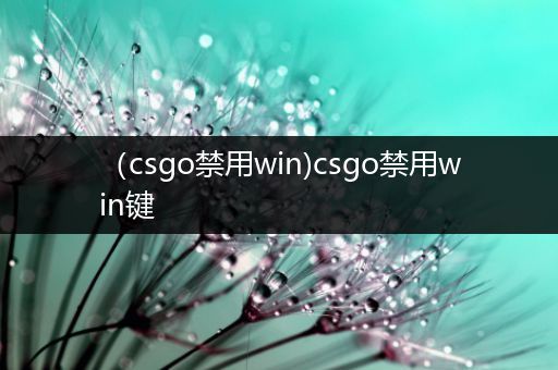 （csgo禁用win)csgo禁用win键