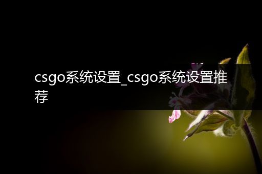 csgo系统设置_csgo系统设置推荐