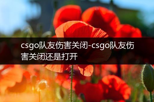 csgo队友伤害关闭-csgo队友伤害关闭还是打开