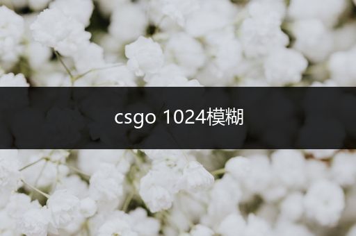 csgo 1024模糊