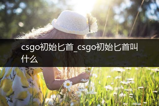 csgo初始匕首_csgo初始匕首叫什么