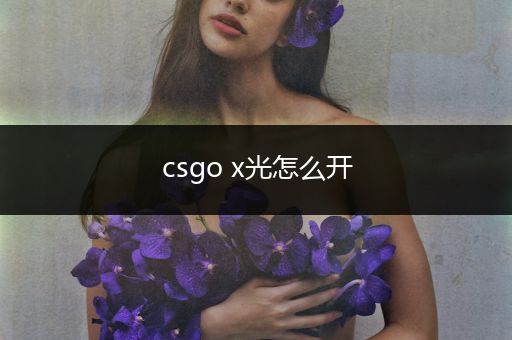 csgo x光怎么开