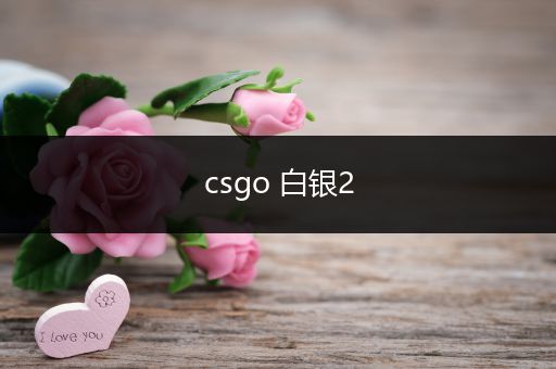 csgo 白银2