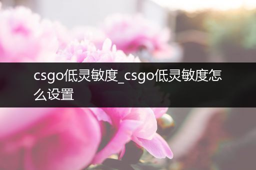 csgo低灵敏度_csgo低灵敏度怎么设置