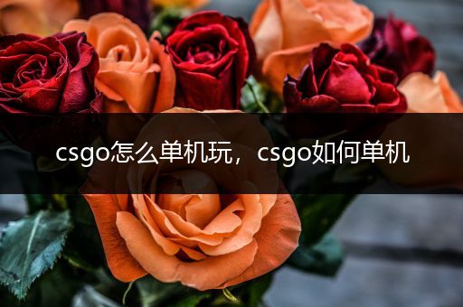 csgo怎么单机玩，csgo如何单机