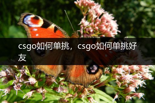 csgo如何单挑，csgo如何单挑好友