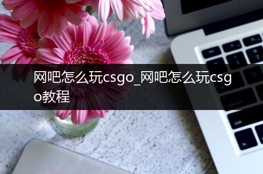 网吧怎么玩csgo_网吧怎么玩csgo教程