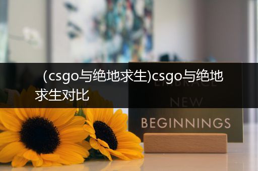 （csgo与绝地求生)csgo与绝地求生对比