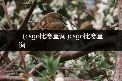 （csgo比赛查询.)csgo比赛查询