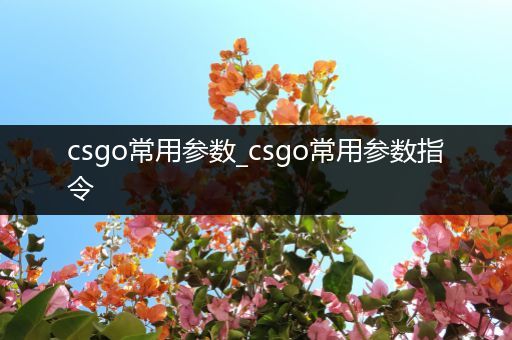 csgo常用参数_csgo常用参数指令