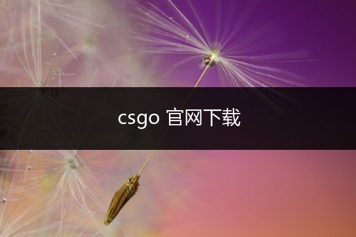 csgo 官网下载