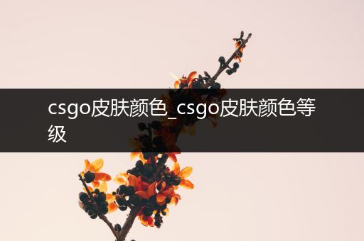 csgo皮肤颜色_csgo皮肤颜色等级