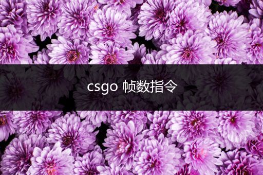 csgo 帧数指令