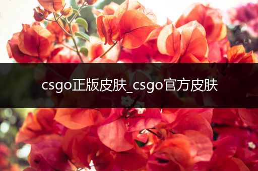 csgo正版皮肤_csgo官方皮肤