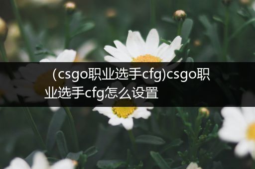 （csgo职业选手cfg)csgo职业选手cfg怎么设置