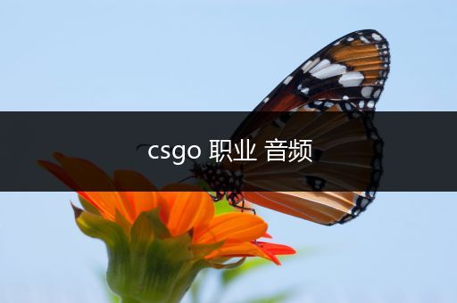 csgo 职业 音频