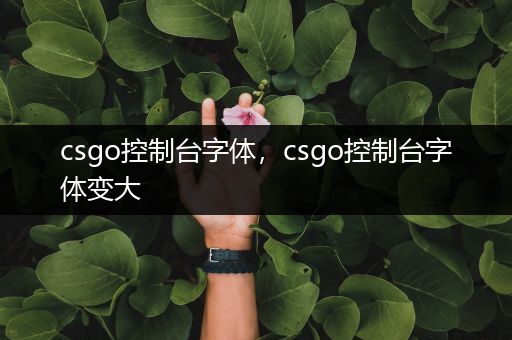 csgo控制台字体，csgo控制台字体变大