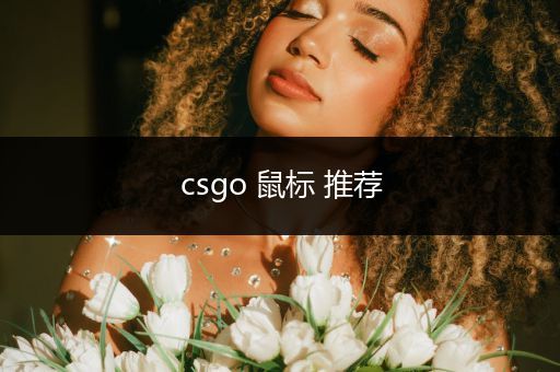 csgo 鼠标 推荐