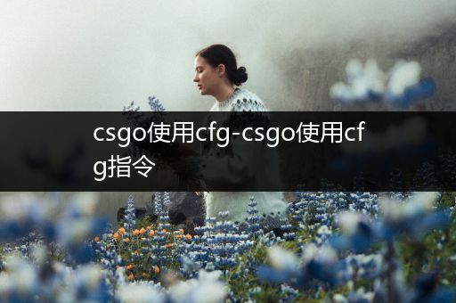 csgo使用cfg-csgo使用cfg指令