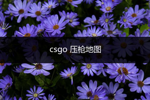 csgo 压枪地图