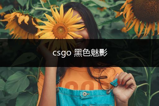 csgo 黑色魅影