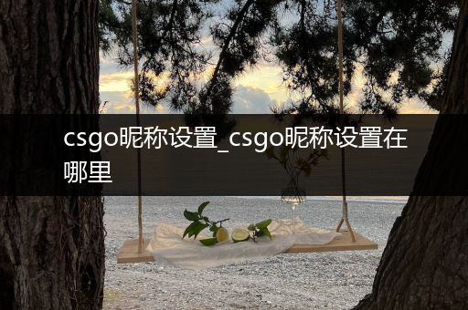 csgo昵称设置_csgo昵称设置在哪里