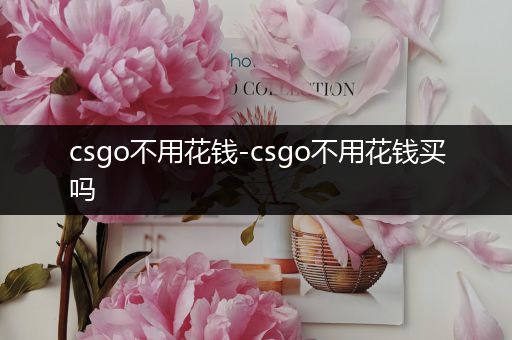 csgo不用花钱-csgo不用花钱买吗