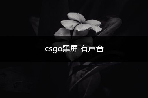 csgo黑屏 有声音