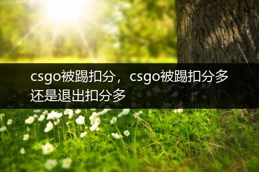 csgo被踢扣分，csgo被踢扣分多还是退出扣分多