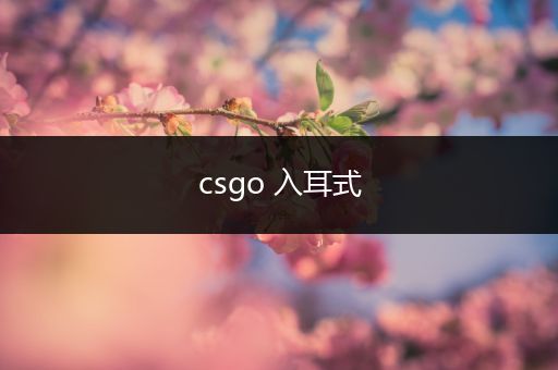 csgo 入耳式