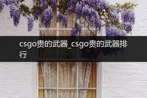 csgo贵的武器_csgo贵的武器排行