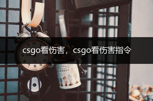 csgo看伤害，csgo看伤害指令