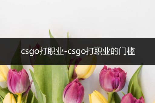 csgo打职业-csgo打职业的门槛