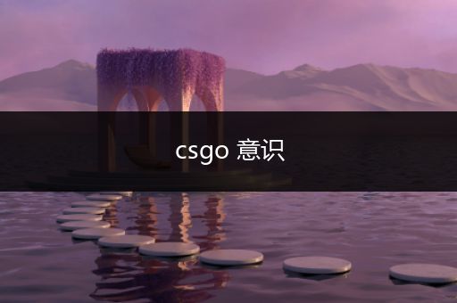 csgo 意识