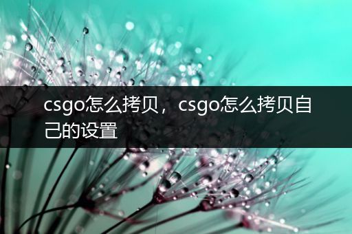 csgo怎么拷贝，csgo怎么拷贝自己的设置