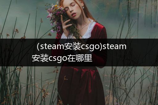 （steam安装csgo)steam安装csgo在哪里