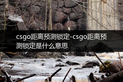 csgo距离预测锁定-csgo距离预测锁定是什么意思