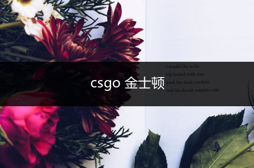 csgo 金士顿