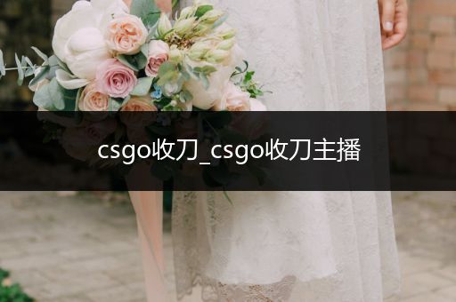 csgo收刀_csgo收刀主播