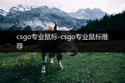 csgo专业鼠标-csgo专业鼠标推荐