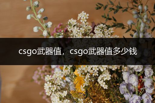 csgo武器值，csgo武器值多少钱