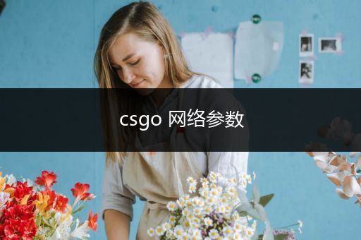 csgo 网络参数