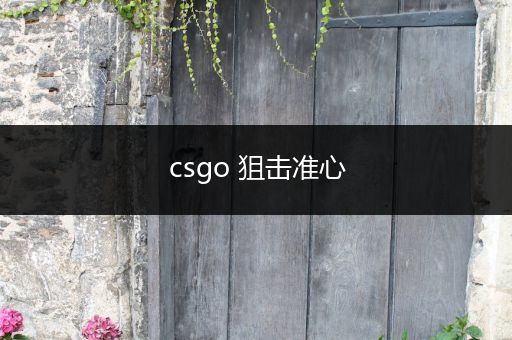 csgo 狙击准心